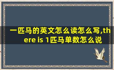 一匹马的英文怎么读怎么写,there is 1匹马单数怎么说